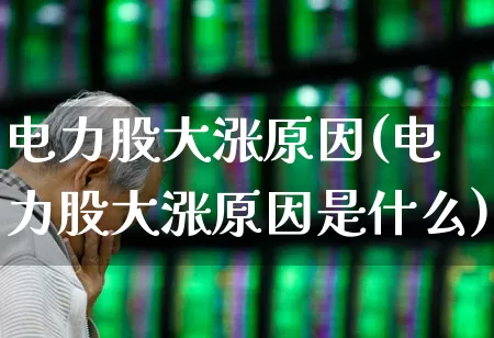 电力股大涨原因(电力股大涨原因是什么)_https://www.syklpowerbike.com_上交所_第1张