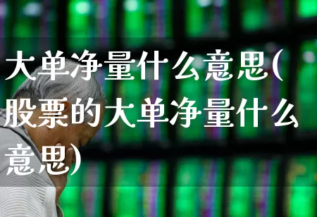 大单净量什么意思(股票的大单净量什么意思)_https://www.syklpowerbike.com_深交所_第1张