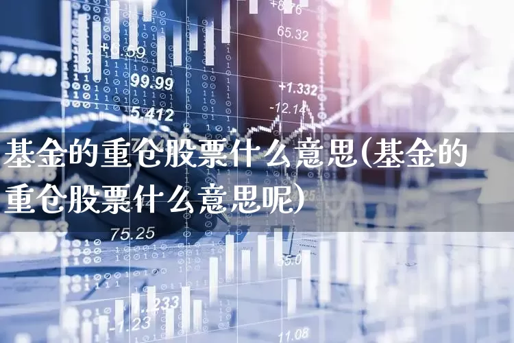 基金的重仓股票什么意思(基金的重仓股票什么意思呢)_https://www.syklpowerbike.com_科创板_第1张