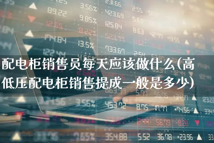 配电柜销售员每天应该做什么(高低压配电柜销售提成一般是多少)_https://www.syklpowerbike.com_上交所_第1张
