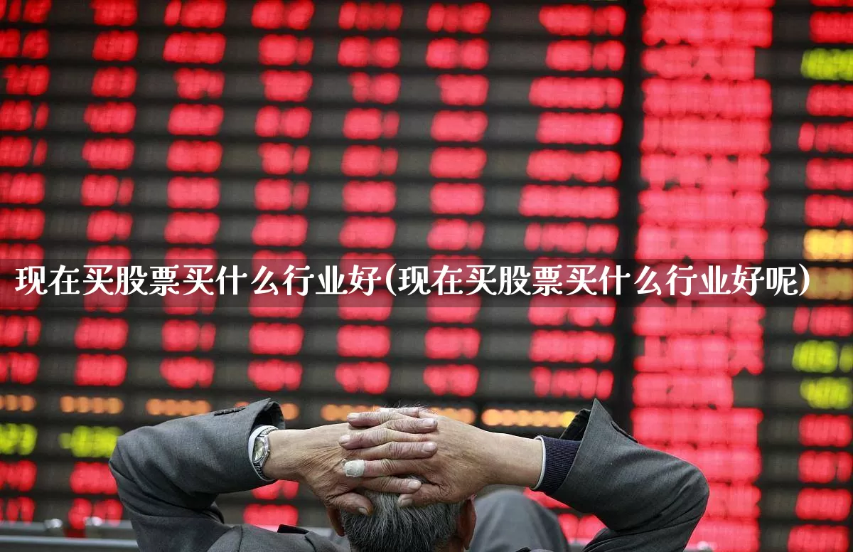现在买股票买什么行业好(现在买股票买什么行业好呢)_https://www.syklpowerbike.com_科创板_第1张