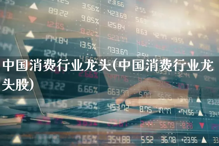中国消费行业龙头(中国消费行业龙头股)_https://www.syklpowerbike.com_深交所_第1张