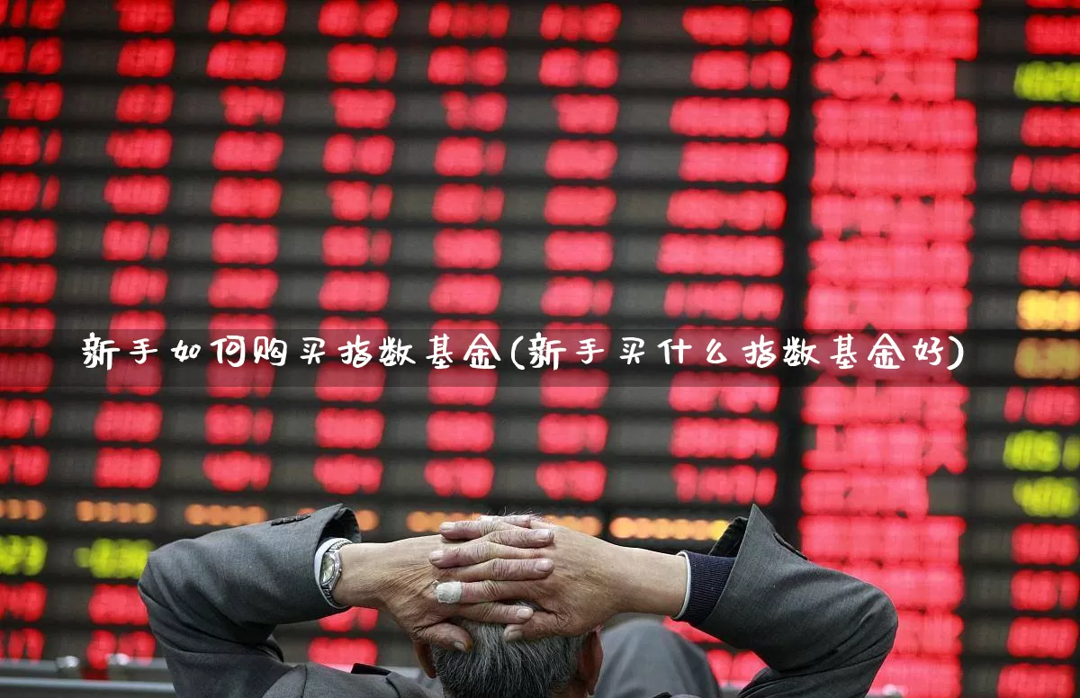新手如何购买指数基金(新手买什么指数基金好)_https://www.syklpowerbike.com_创业板_第1张