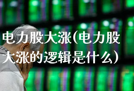 电力股大涨(电力股大涨的逻辑是什么)_https://www.syklpowerbike.com_北交所_第1张