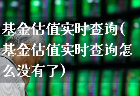 基金估值实时查询(基金估值实时查询怎么没有了)_https://www.syklpowerbike.com_深交所_第1张