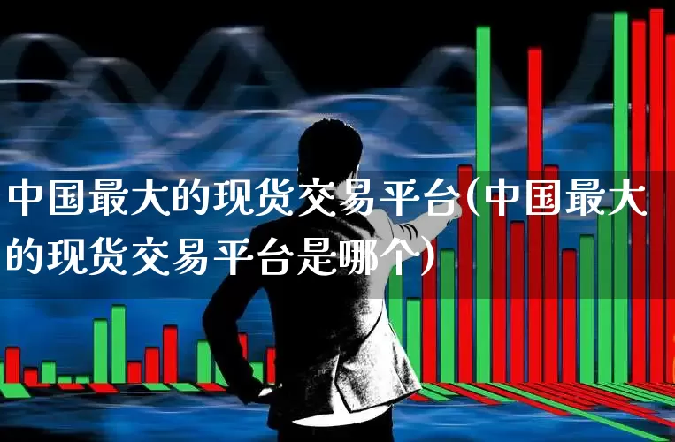 中国最大的现货交易平台(中国最大的现货交易平台是哪个)_https://www.syklpowerbike.com_上交所_第1张