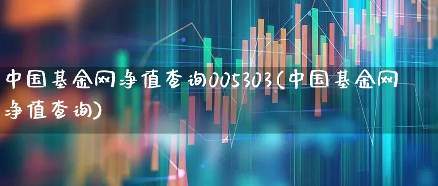 中国基金网净值查询005303(中国基金网净值查询)_https://www.syklpowerbike.com_科创板_第1张