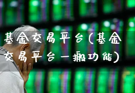 基金交易平台(基金交易平台一搬功能)_https://www.syklpowerbike.com_上交所_第1张
