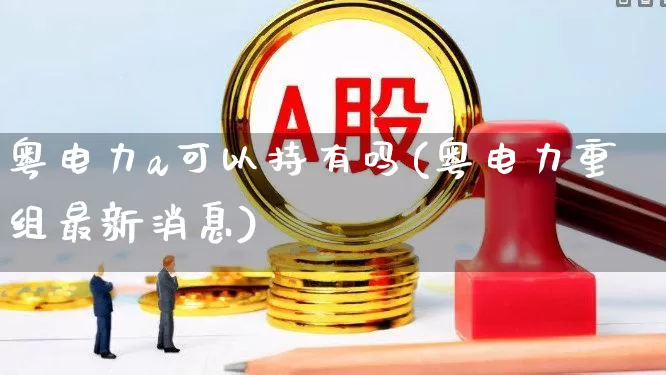 粤电力a可以持有吗(粤电力重组最新消息)_https://www.syklpowerbike.com_北交所_第1张