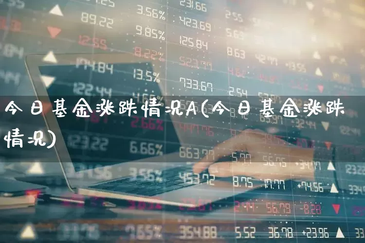 今日基金涨跌情况A(今日基金涨跌情况)_https://www.syklpowerbike.com_北交所_第1张