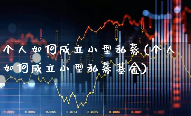 个人如何成立小型私募(个人如何成立小型私募基金)_https://www.syklpowerbike.com_北交所_第1张
