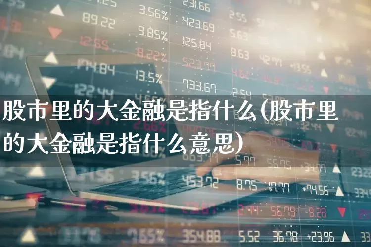 股市里的大金融是指什么(股市里的大金融是指什么意思)_https://www.syklpowerbike.com_创业板_第1张