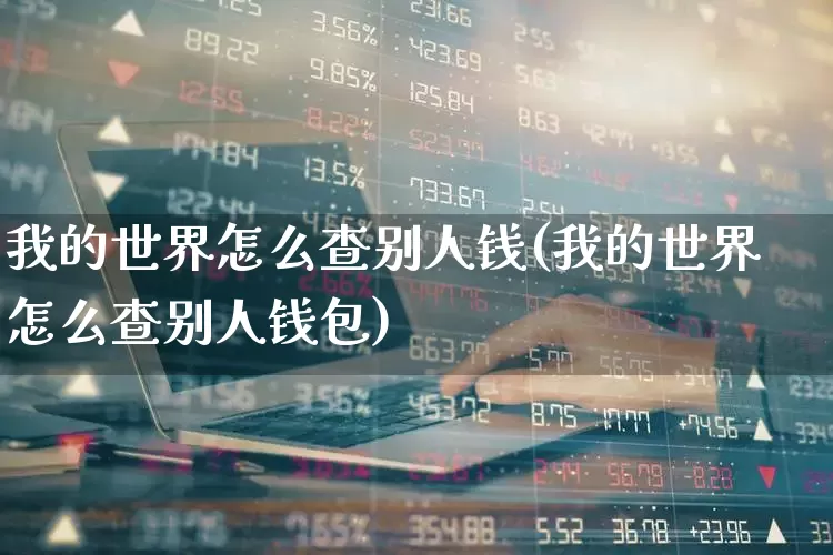 我的世界怎么查别人钱(我的世界怎么查别人钱包)_https://www.syklpowerbike.com_北交所_第1张