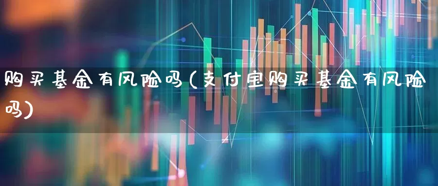 购买基金有风险吗(支付宝购买基金有风险吗)_https://www.syklpowerbike.com_深交所_第1张