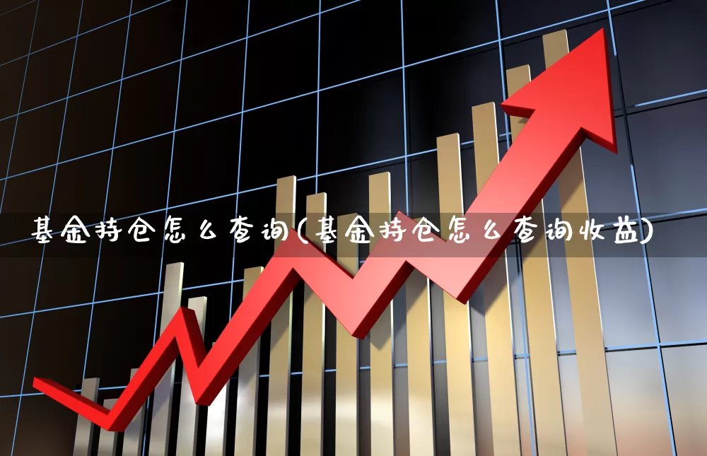 基金持仓怎么查询(基金持仓怎么查询收益)_https://www.syklpowerbike.com_科创板_第1张