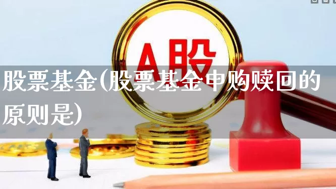 股票基金(股票基金申购赎回的原则是)_https://www.syklpowerbike.com_科创板_第1张