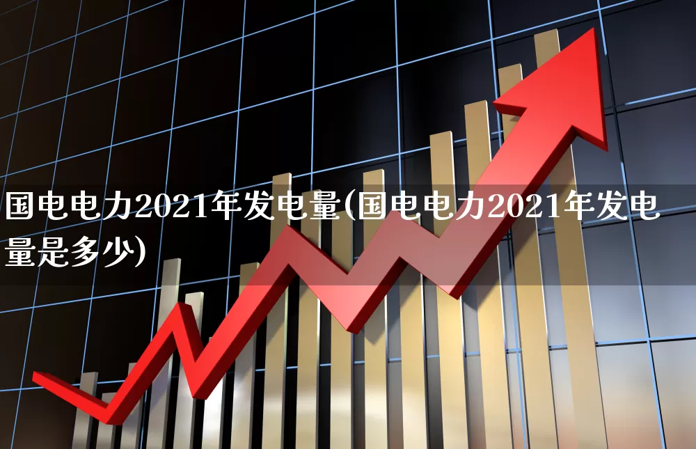 国电电力2021年发电量(国电电力2021年发电量是多少)_https://www.syklpowerbike.com_北交所_第1张