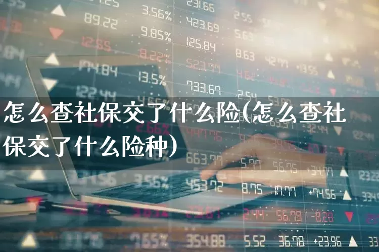 怎么查社保交了什么险(怎么查社保交了什么险种)_https://www.syklpowerbike.com_创业板_第1张