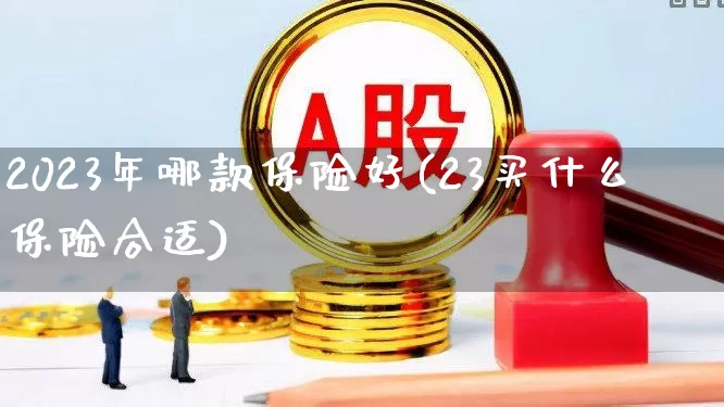 2023年哪款保险好(23买什么保险合适)_https://www.syklpowerbike.com_北交所_第1张