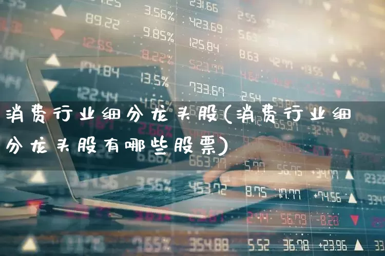 消费行业细分龙头股(消费行业细分龙头股有哪些股票)_https://www.syklpowerbike.com_创业板_第1张
