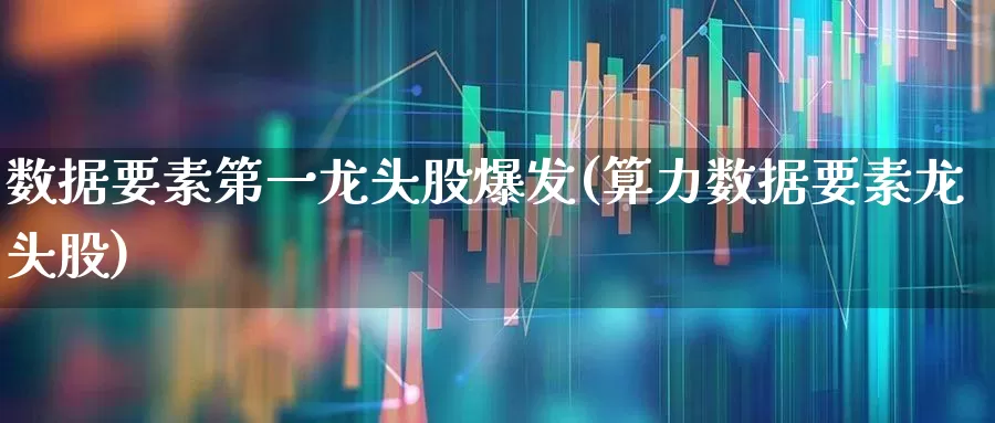 数据要素第一龙头股爆发(算力数据要素龙头股)_https://www.syklpowerbike.com_创业板_第1张