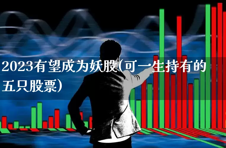 2023有望成为妖股(可一生持有的五只股票)_https://www.syklpowerbike.com_科创板_第1张