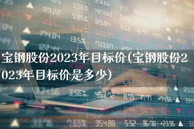 宝钢股份2023年目标价(宝钢股份2023年目标价是多少)_https://www.syklpowerbike.com_北交所_第1张