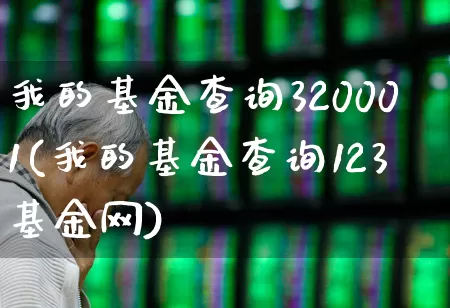 我的基金查询320001(我的基金查询123基金网)_https://www.syklpowerbike.com_科创板_第1张