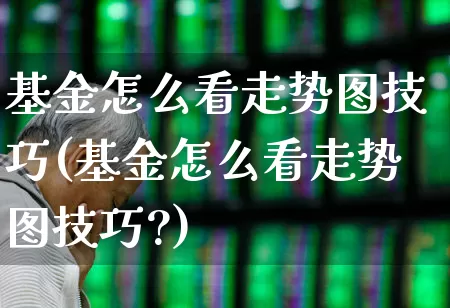 基金怎么看走势图技巧(基金怎么看走势图技巧?)_https://www.syklpowerbike.com_科创板_第1张