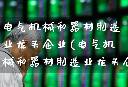 电气机械和器材制造业龙头企业(电气机械和器材制造业龙头企业排名)_https://www.syklpowerbike.com_北交所_第1张