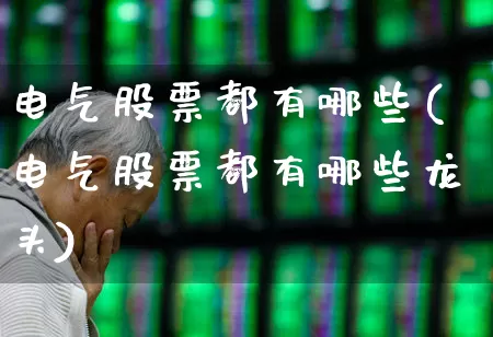 电气股票都有哪些(电气股票都有哪些龙头)_https://www.syklpowerbike.com_上交所_第1张