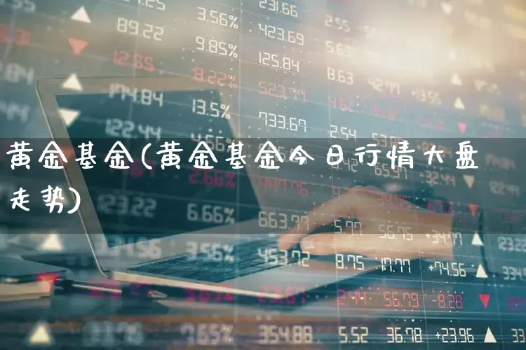 黄金基金(黄金基金今日行情大盘走势)_https://www.syklpowerbike.com_创业板_第1张