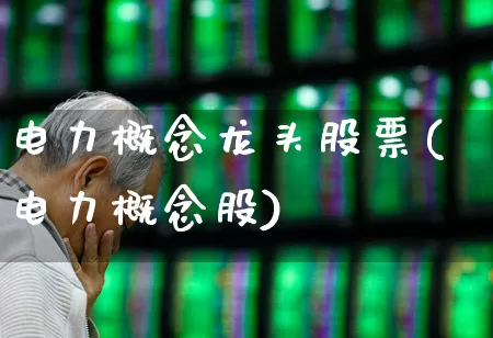 电力概念龙头股票(电力概念股)_https://www.syklpowerbike.com_创业板_第1张
