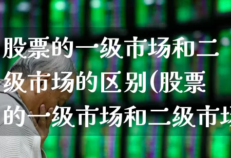 股票的一级市场和二级市场的区别(股票的一级市场和二级市场的区别和联系)_https://www.syklpowerbike.com_创业板_第1张