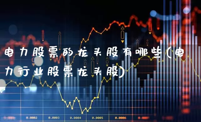 电力股票的龙头股有哪些(电力行业股票龙头股)_https://www.syklpowerbike.com_北交所_第1张