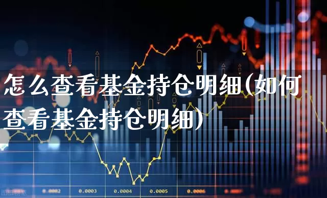 怎么查看基金持仓明细(如何查看基金持仓明细)_https://www.syklpowerbike.com_北交所_第1张