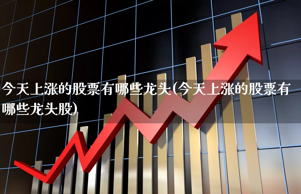 今天上涨的股票有哪些龙头(今天上涨的股票有哪些龙头股)_https://www.syklpowerbike.com_深交所_第1张