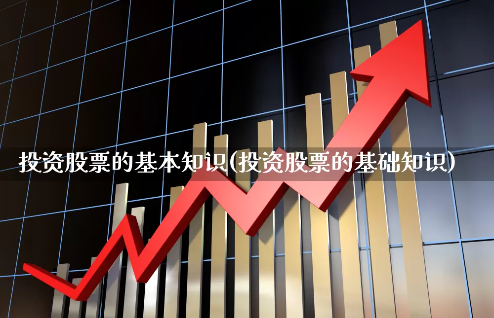 投资股票的基本知识(投资股票的基础知识)_https://www.syklpowerbike.com_创业板_第1张