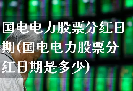 国电电力股票分红日期(国电电力股票分红日期是多少)_https://www.syklpowerbike.com_北交所_第1张