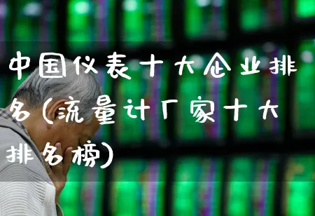 中国仪表十大企业排名(流量计厂家十大排名榜)_https://www.syklpowerbike.com_上交所_第1张