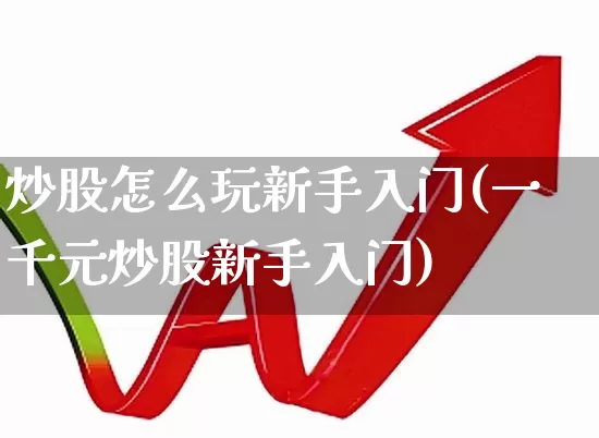 炒股怎么玩新手入门(一千元炒股新手入门)_https://www.syklpowerbike.com_深交所_第1张