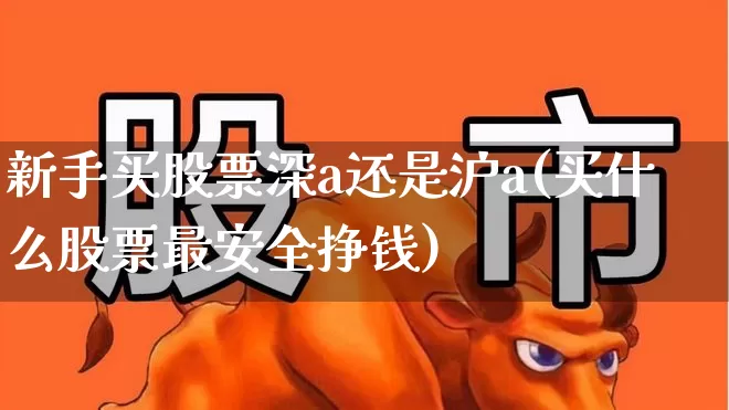 新手买股票深a还是沪a(买什么股票最安全挣钱)_https://www.syklpowerbike.com_科创板_第1张