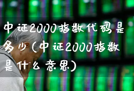 中证2000指数代码是多少(中证2000指数是什么意思)_https://www.syklpowerbike.com_北交所_第1张