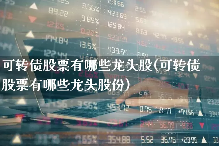 可转债股票有哪些龙头股(可转债股票有哪些龙头股份)_https://www.syklpowerbike.com_科创板_第1张
