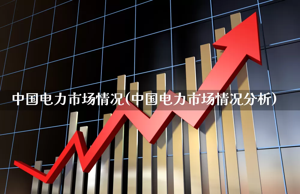 中国电力市场情况(中国电力市场情况分析)_https://www.syklpowerbike.com_北交所_第1张