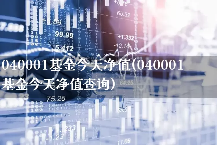 040001基金今天净值(040001基金今天净值查询)_https://www.syklpowerbike.com_北交所_第1张
