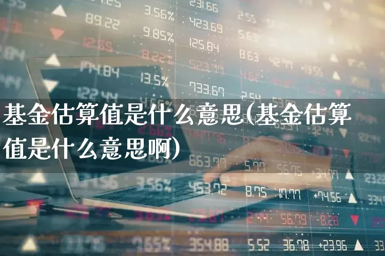 基金估算值是什么意思(基金估算值是什么意思啊)_https://www.syklpowerbike.com_科创板_第1张