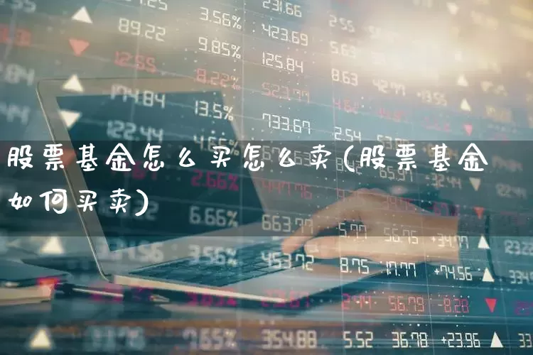 股票基金怎么买怎么卖(股票基金如何买卖)_https://www.syklpowerbike.com_创业板_第1张