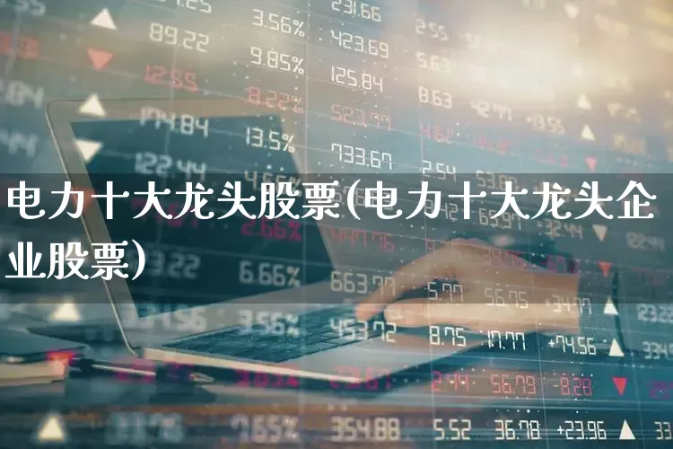 电力十大龙头股票(电力十大龙头企业股票)_https://www.syklpowerbike.com_深交所_第1张