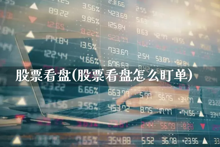 股票看盘(股票看盘怎么盯单)_https://www.syklpowerbike.com_创业板_第1张